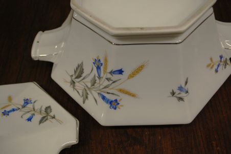 (n-7551) Victoria, viljapeadega tirin