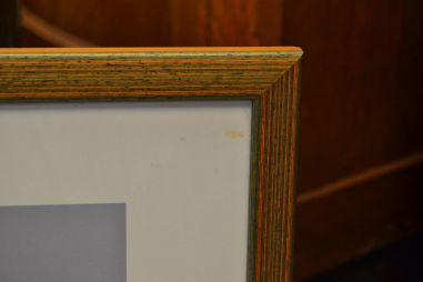 (n-7574) Signeeritud luikedega graafika