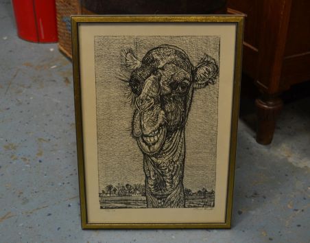 (p-1098) Viiralti trükirepro Kaameli pea