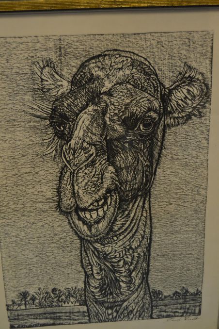 (p-1098) Viiralti trükirepro Kaameli pea