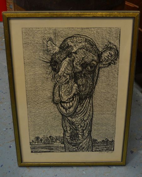 (p-1098) Viiralti trükirepro Kaameli pea