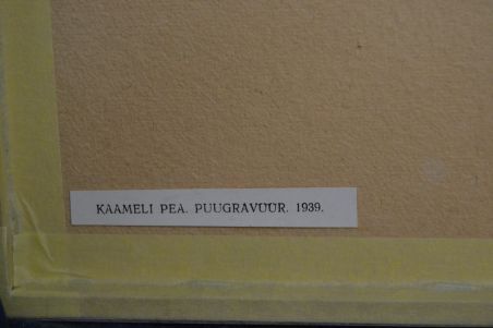 (p-1098) Viiralti trükirepro Kaameli pea