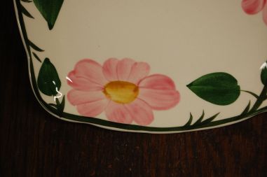 (n-7578/5) Villeroy & Boch Wild Rose, vaagen