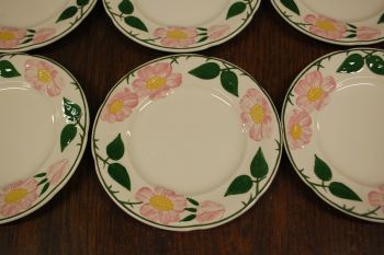 (n-7578/13) Villeroy & Boch Wild Rose, koogitaldrikud, 6tk 2