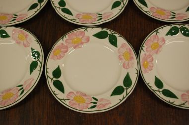 (n-7578/13) Villeroy & Boch Wild Rose, koogitaldrikud, 6tk