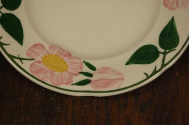 (n-7578/13) Villeroy & Boch Wild Rose, koogitaldrikud, 6tk