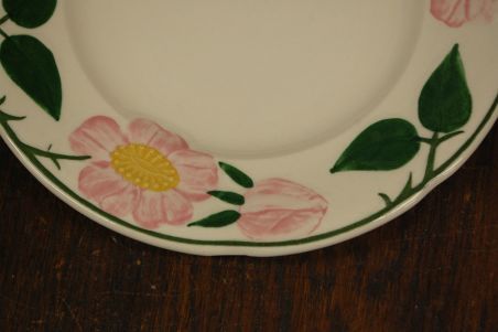 (n-7578/13) Villeroy & Boch Wild Rose, koogitaldrikud, 6tk