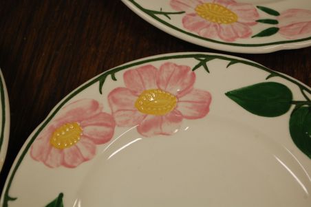 (n-7578/13) Villeroy & Boch Wild Rose, koogitaldrikud, 6tk