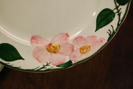 (n-7578/14) Villeroy & Boch Wild Rose, salatitaldrikud, 4tk
