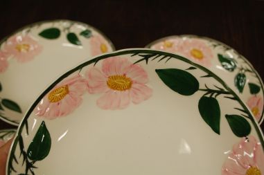 (n-7578/15) Villeroy & Boch Wild Rose, supi-pastataldrikud, 5tk