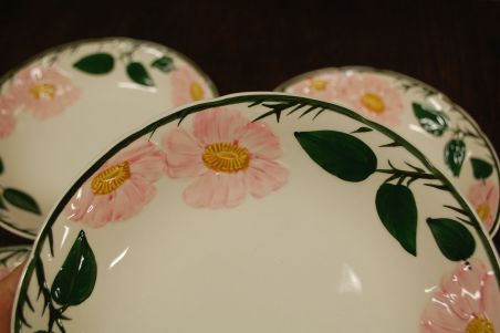 (n-7578/15) Villeroy & Boch Wild Rose, supi-pastataldrikud, 5tk