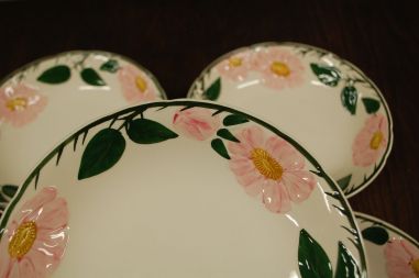 (n-7578/15) Villeroy & Boch Wild Rose, supi-pastataldrikud, 5tk