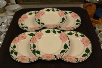 (n-7578/16) Villeroy & Boch Wild Rose, praetaldrikud, 6tk (suurem mõõt)