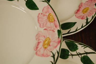 (n-7578/16) Villeroy & Boch Wild Rose, praetaldrikud, 6tk (suurem mõõt)