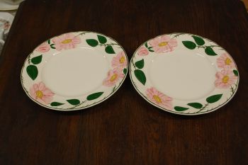 (n-7578/17) Villeroy & Boch Wild Rose, praetaldrikud, 2tk (suurem mõõt)