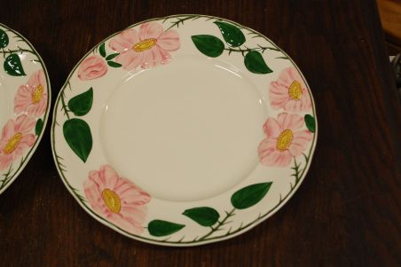 (n-7578/17) Villeroy & Boch Wild Rose, praetaldrikud, 2tk (suurem mõõt)