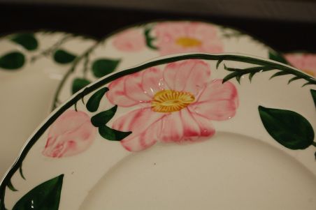(n-7578/17) Villeroy & Boch Wild Rose, praetaldrikud, 2tk (suurem mõõt)