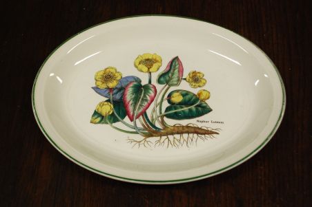 (n-7616) Enoch Wedgwood LTD, Florabunda taimedaga vaagen