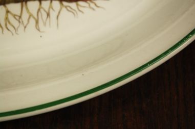 (n-7616) Enoch Wedgwood LTD, Florabunda taimedaga vaagen