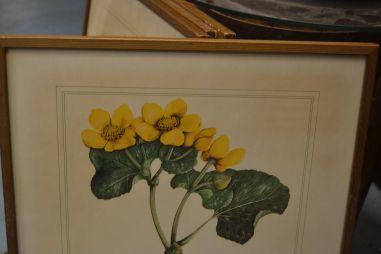 (p-1101/1)  Raamitud taimedega trükipilt