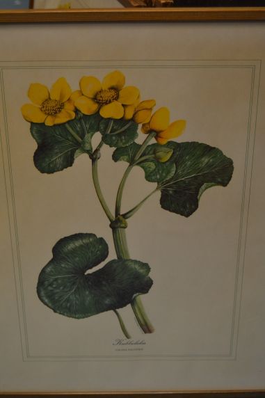 (p-1101/1)  Raamitud taimedega trükipilt