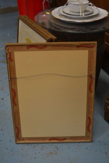 (p-1101/1)  Raamitud taimedega trükipilt