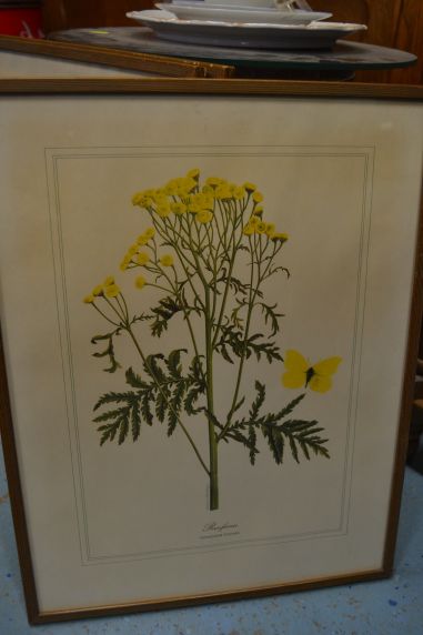 (P-1101/2) Raamitud taimedega trükipilt