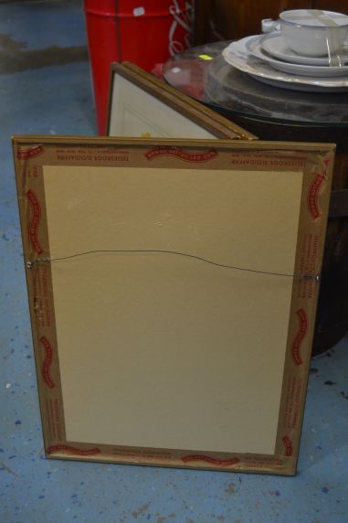 (P-1101/2) Raamitud taimedega trükipilt