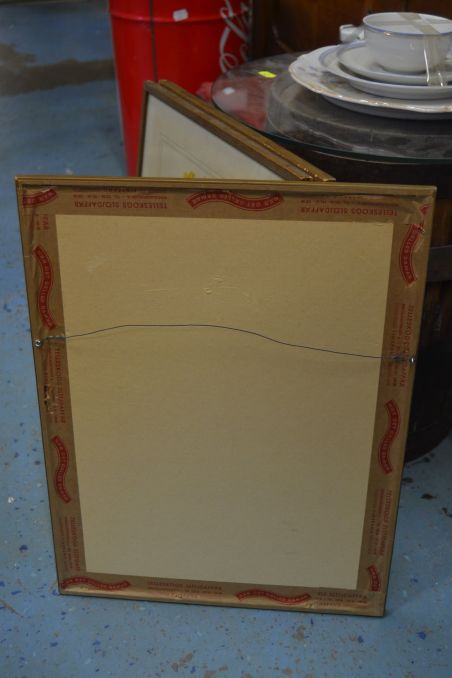 (P-1101/2) Raamitud taimedega trükipilt