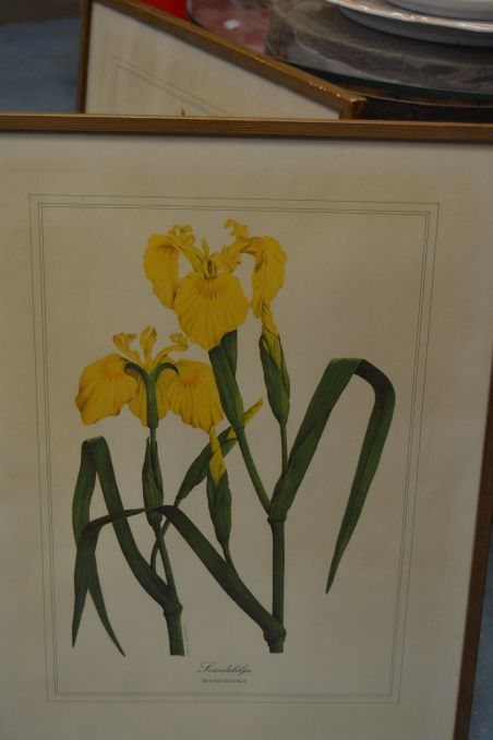 (p-1101/3) Raamitud taimedega trükipilt