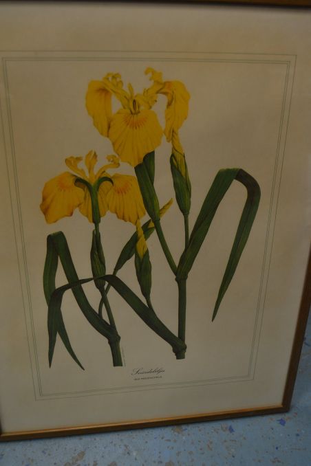 (p-1101/3) Raamitud taimedega trükipilt