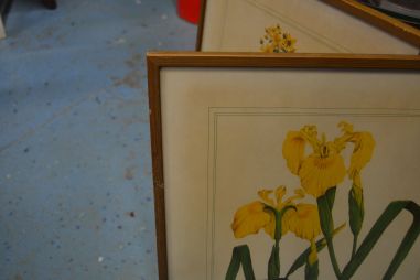 (p-1101/3) Raamitud taimedega trükipilt