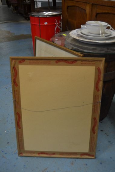 (p-1101/3) Raamitud taimedega trükipilt