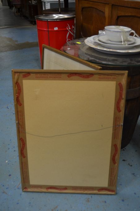 (p-1101/3) Raamitud taimedega trükipilt