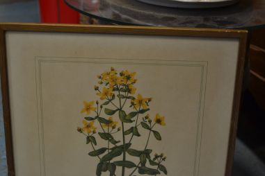 (P-1101/4) Raamitud taimedega trükipilt