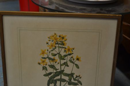 (P-1101/4) Raamitud taimedega trükipilt