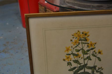 (P-1101/4) Raamitud taimedega trükipilt