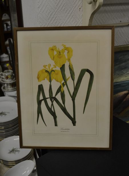 (p-1101/3) Raamitud taimedega trükipilt