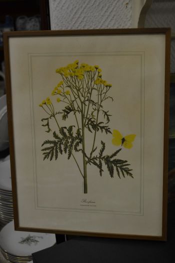 (P-1101/2) Raamitud taimedega trükipilt