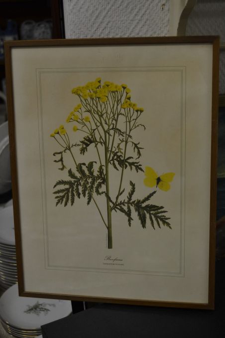 (P-1101/2) Raamitud taimedega trükipilt