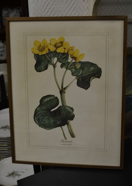 (p-1101/1)  Raamitud taimedega trükipilt