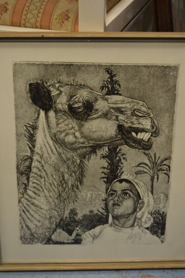 (P-1106) Viiralt, trükirepro Berberi tüdruk kaameliga