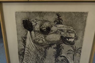 (P-1106) Viiralt, trükirepro Berberi tüdruk kaameliga