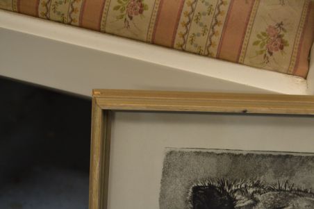 (P-1106) Viiralt, trükirepro Berberi tüdruk kaameliga