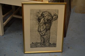 (p-1108) Viiralti trükirepro Kaameli pea