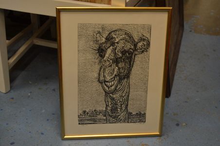 (p-1108) Viiralti trükirepro Kaameli pea