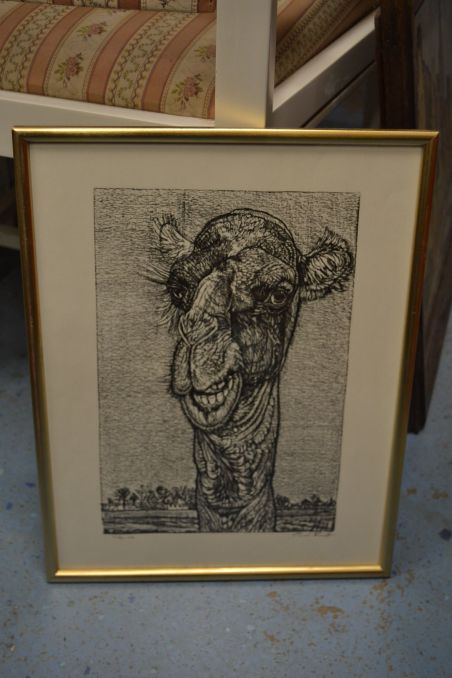 (p-1108) Viiralti trükirepro Kaameli pea