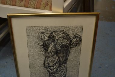 (p-1108) Viiralti trükirepro Kaameli pea