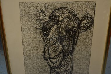 (p-1108) Viiralti trükirepro Kaameli pea