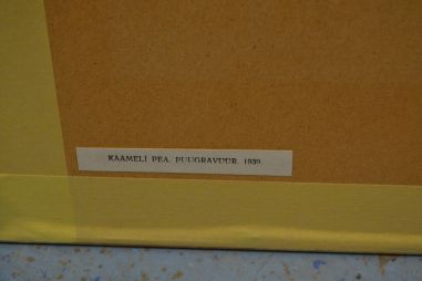 (p-1108) Viiralti trükirepro Kaameli pea